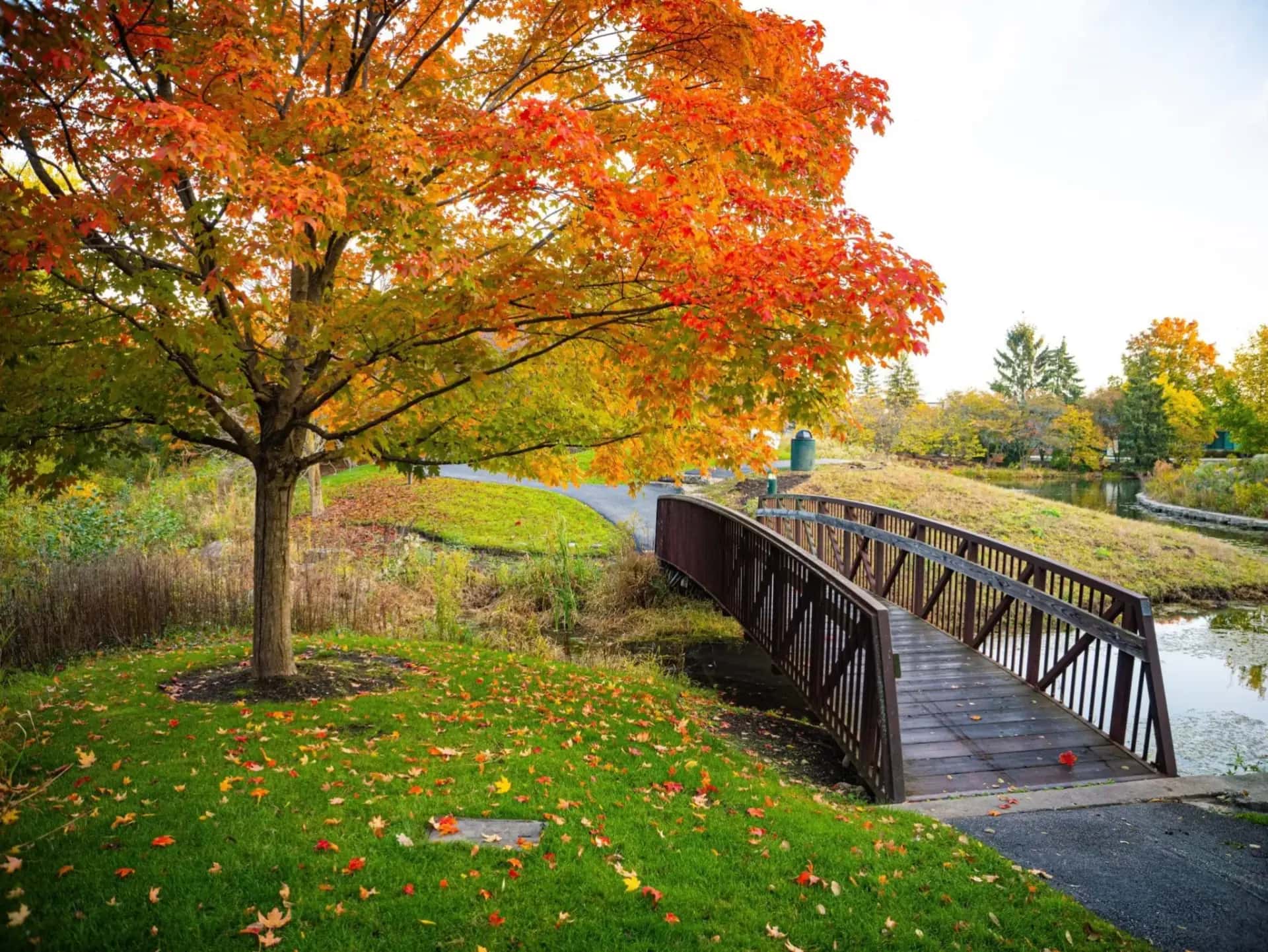 Lake in the Hills, Illinois — home appraisals by VanEtten Appraisal