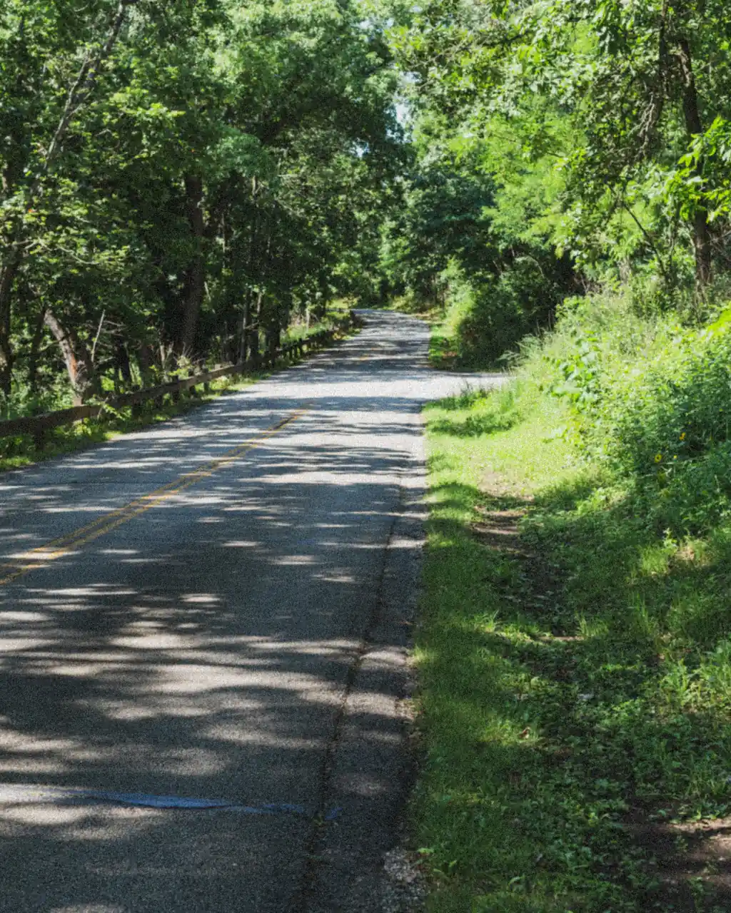 Trail through Moraine Hills State Park near Lakemoor, IL, with natural lake scenery