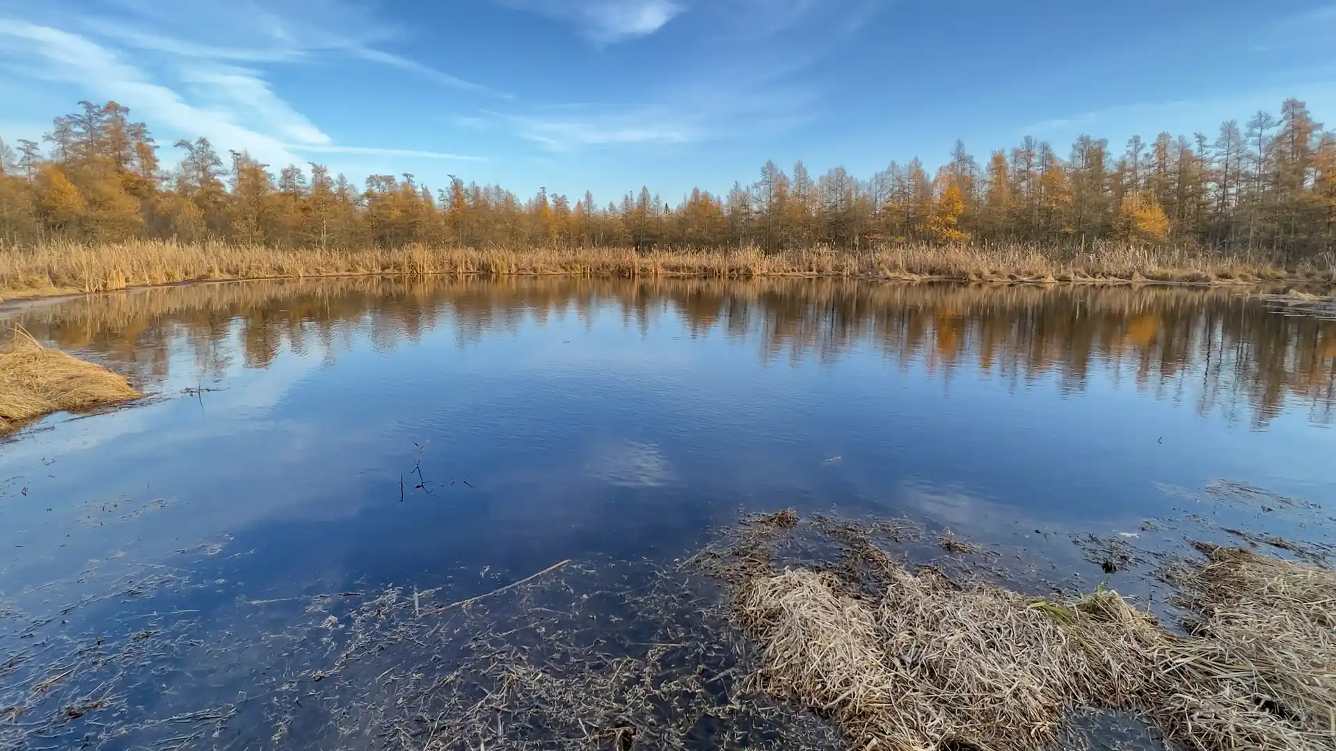 The bog eye at Volo Bog State Natural Area, a preserved natural landmark minutes from Lakemoor, IL
