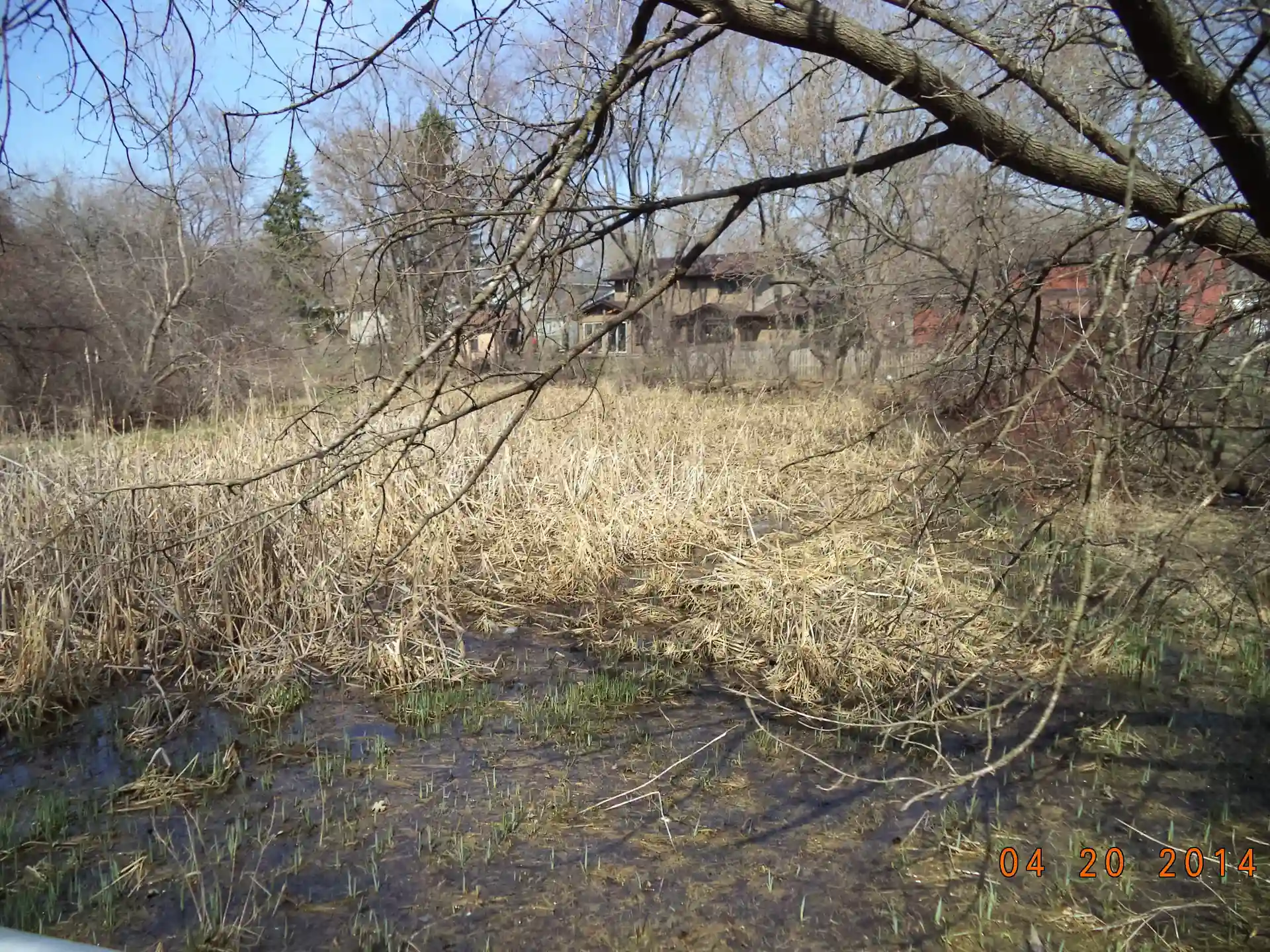 Oak Hollow Conservation Area in Schaumburg, Illinois