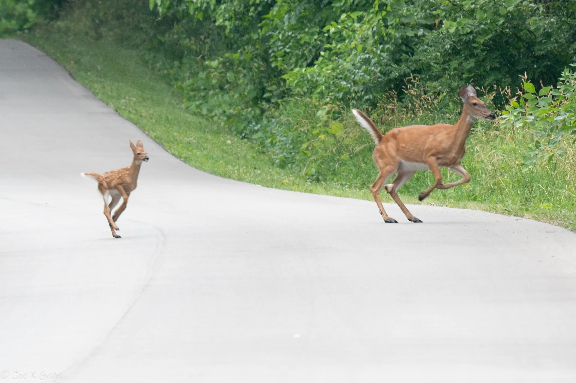 Yorkville, Illinois neighborhood served by VanEtten Appraisal