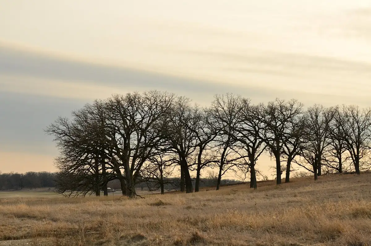 Lakewood, Illinois neighborhood served by VanEtten Appraisal